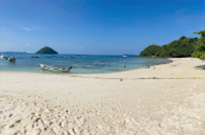 Ko Hay Or Coral Island One Day Private Tour