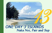One Day 3 Islands Naka Noi Pair and Sup