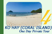 Ko Hay Or Coral Island One Day Private Tour