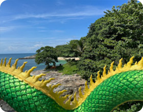 Day Tour Temple Island + Man Island + Ko Bon