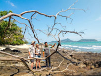 Koh Tapao Noi Discovery Half Day Tour