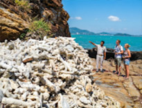 Koh Tapao Noi Discovery Half Day Tour