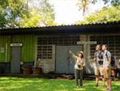 Koh Tapao Noi Discovery Half Day Tour