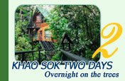 Khao Sok Two Days Tour: Overnight on the trees