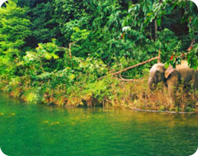 Overnight on Water Piece and over the trees 3 Days 2 Nights