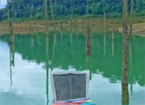 Jungle meets the Lake