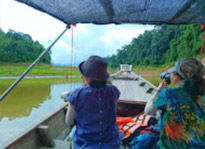 Jungle meets the Lake