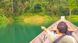 Jungle meets the Lake