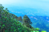 Doi Inthanon highest of Chiang Mai
