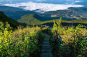 Doi Inthanon highest of Chiang Mai