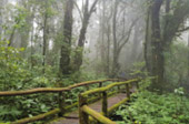 Doi Inthanon highest of Chiang Mai