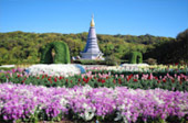 Doi Inthanon highest of Chiang Mai