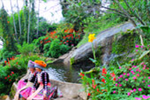 Doi Pui - Roses and Hill Tribe Village Chiang Mai