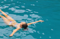 Phi Phi Le Island