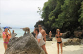 Phi Phi Le Island