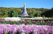 Doi Inthanon
