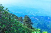 Doi Inthanon