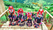 Doi Mae Salong