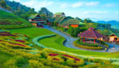 Doi Mae Salong
