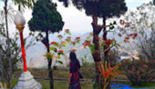 Doi Mae Salong