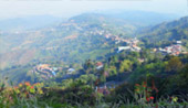 Doi Mae Salong