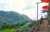 Doi Pha Hhi