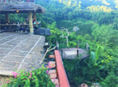 Doi Pha Mee