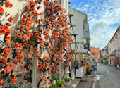 Phuket Old Town: Culture