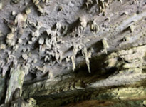 Sea Caves