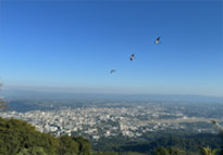 Doi Suthep