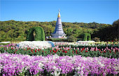 Doi Inthanon