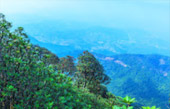 Doi Inthanon