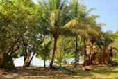 Full Nature on Rangyai Island