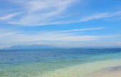 Koh Jan and Koh Thai Tree