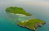 Koh Jan and Koh Thai Tree