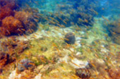 Koh Talu, Koh Sing and Koh Sang