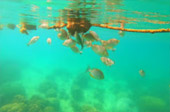 Koh Talu, Koh Sing and Koh Sang