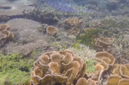 Koh Talu, Koh Sing and Koh Sang