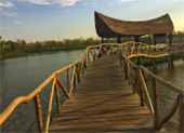 A Scenic Lake Bridge