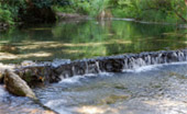 Tha Sai Hot Spring