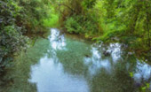 Tha Sai Hot Spring