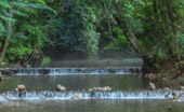 Tha Sai Hot Spring