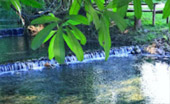 Tha Sai Hot Spring