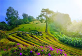 Kiew Lom - Gorgeous Point amidst Nature
