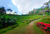 Kiew Lom - Gorgeous Point amidst Nature