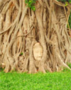 The Historic City of Ayutthaya