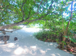 Bamboo Island