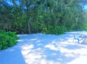 Bamboo Island
