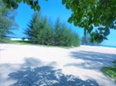 Bamboo Island