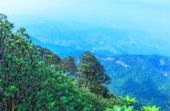 Doi Inthanon